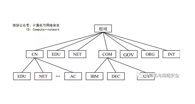 域名中的edu表示,域名中edu表示机构所属类型为