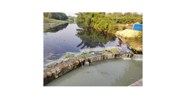 那条河是什么意思,那条河流作者