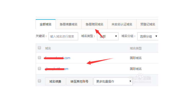 购买的域名怎么解析,域名解析需要购买吗