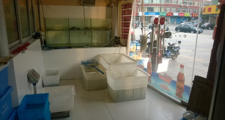 餐饮店鱼缸装修效果图欣赏,餐馆鱼缸设计