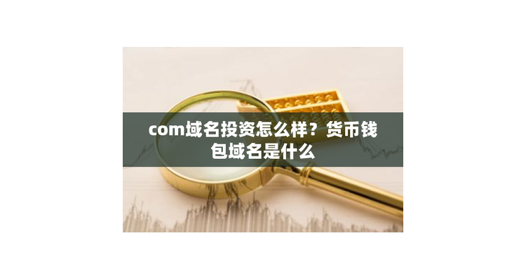 域名投资什么情况不能投资,域名投资大多数人亏本
