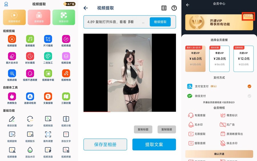 图片[1]-视频提取33二创去重、去水印、压缩、格式转换解锁会员版-蕾格格部落-蕾格格下载站