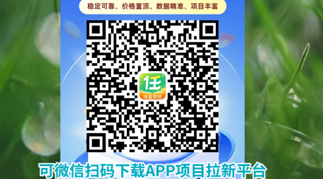 四季社区带你玩转网盘拉新：从赛道到落地的实战指南